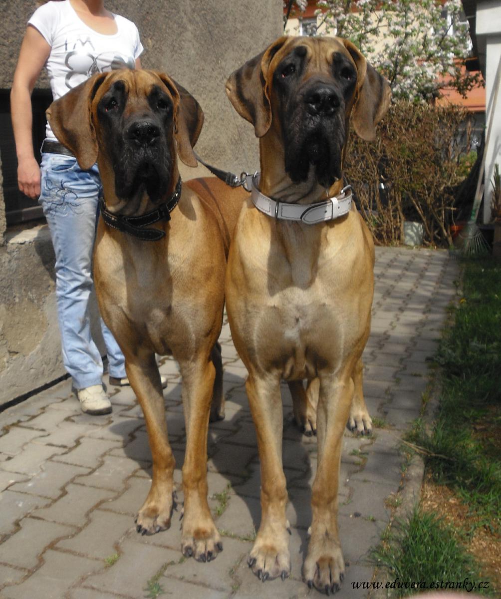 U_Aishenky_1_5_2010_128.jpg