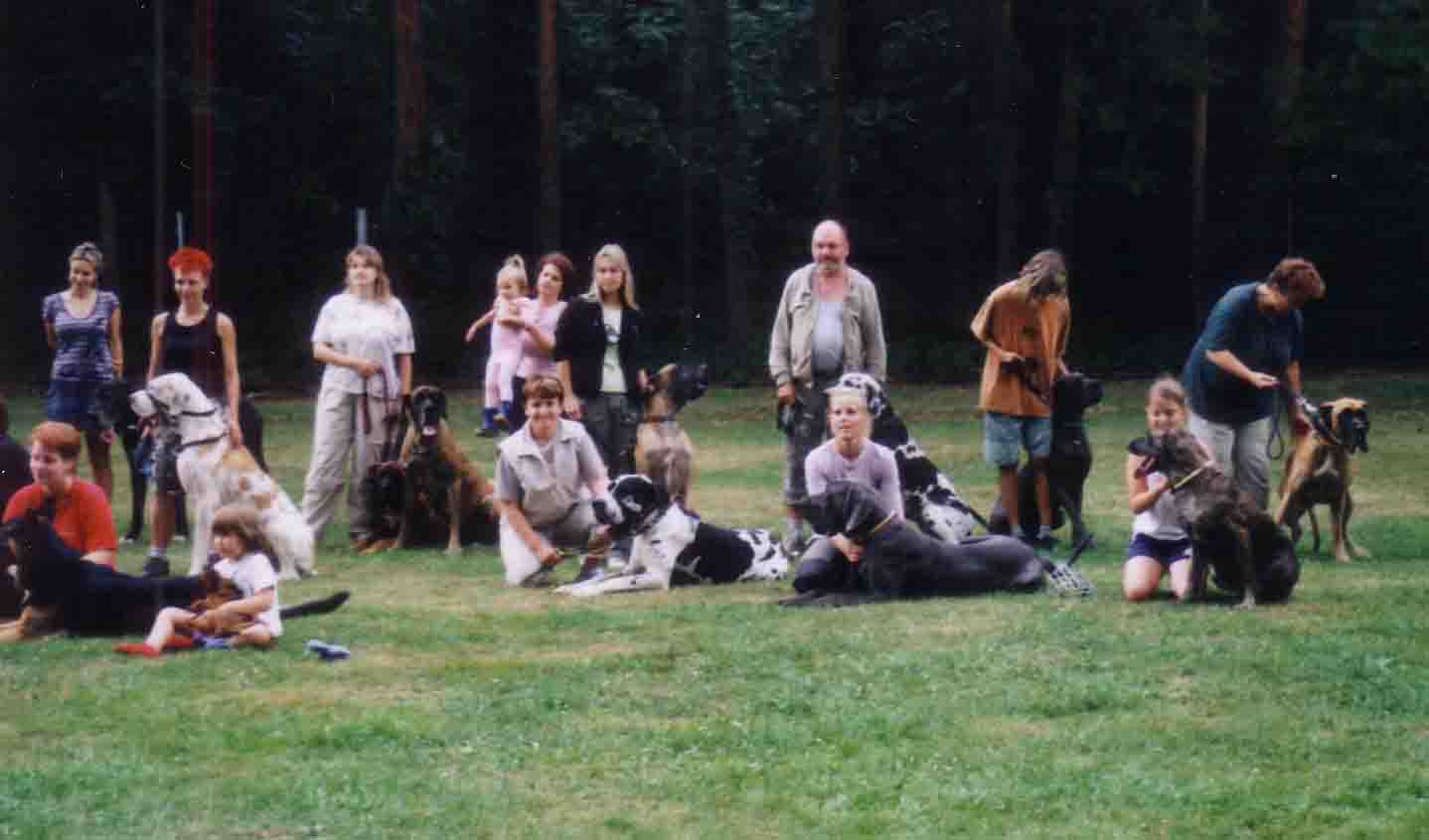 Kolín společná.jpg